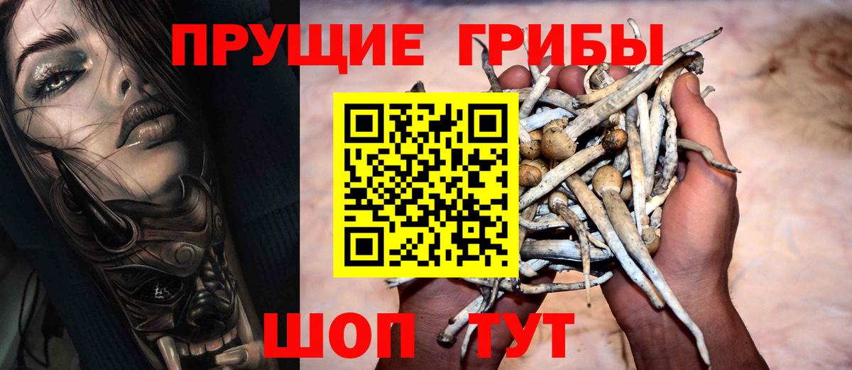 Псилоцибиновые грибы мицелий  купить наркотик  Галлюциногенные грибы прущие грибы  Медногорск  Вход с VPN 